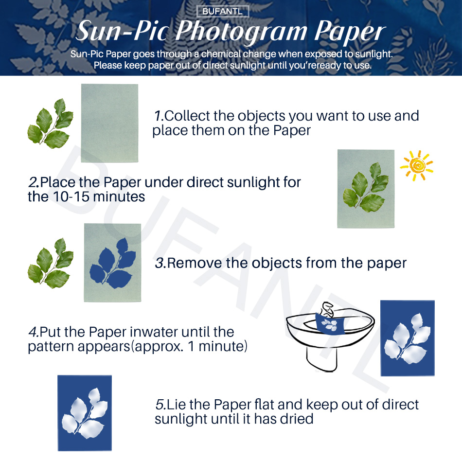 Carta per Cianotipia, Confezio - Photography Lighting Beginners recensione e prezzo