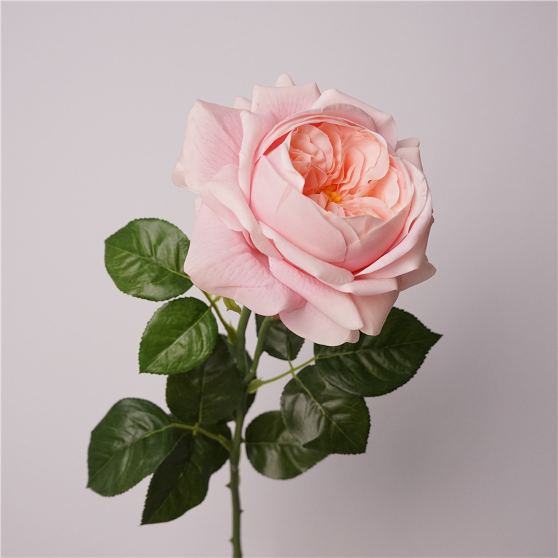 3 Pezzi di Rose Artificiali Id - Photography Lighting Simulator Free recensione e prezzo