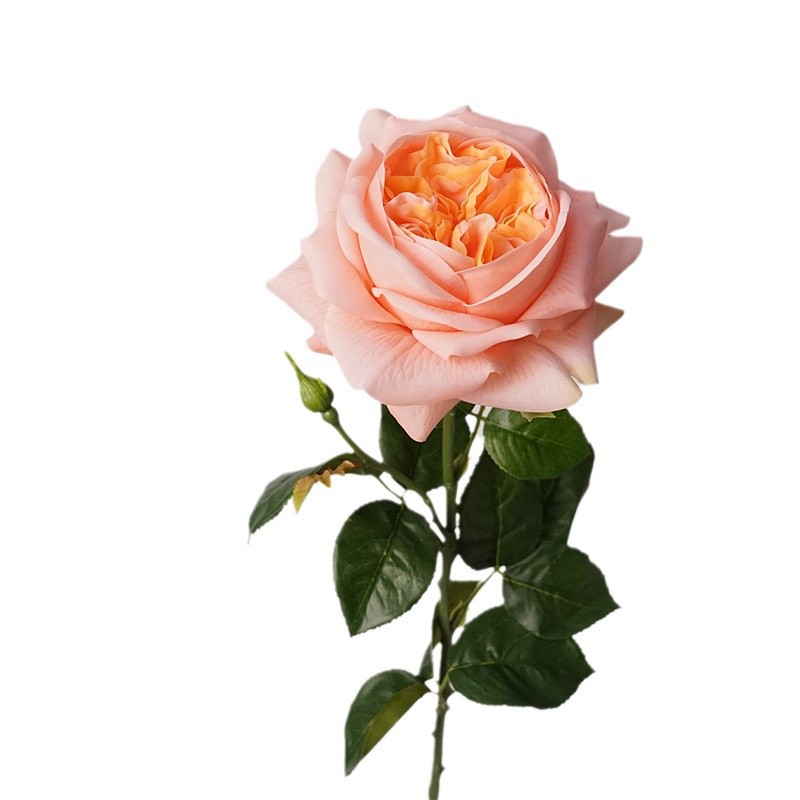 3 Pezzi di Rose Artificiali Id - Photography Lighting Simulator Free recensione e prezzo