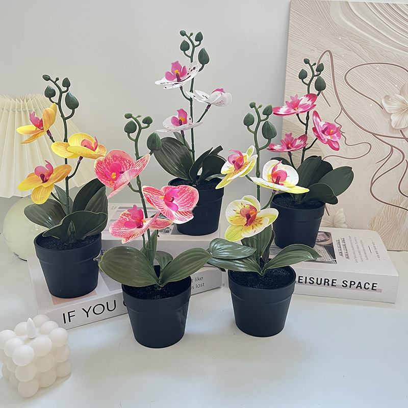 Vaso in argilla nera di lusso  - Photography Lighting Simulator Free recensione e prezzo