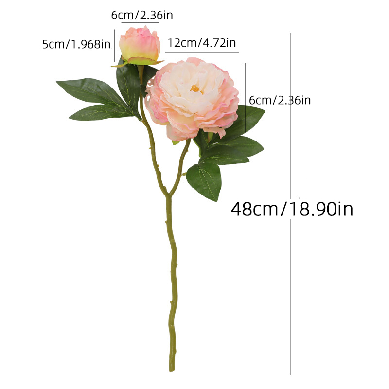 1PC Retro 2 teste peonia simul - Photography Lighting Simulator Free recensione e prezzo