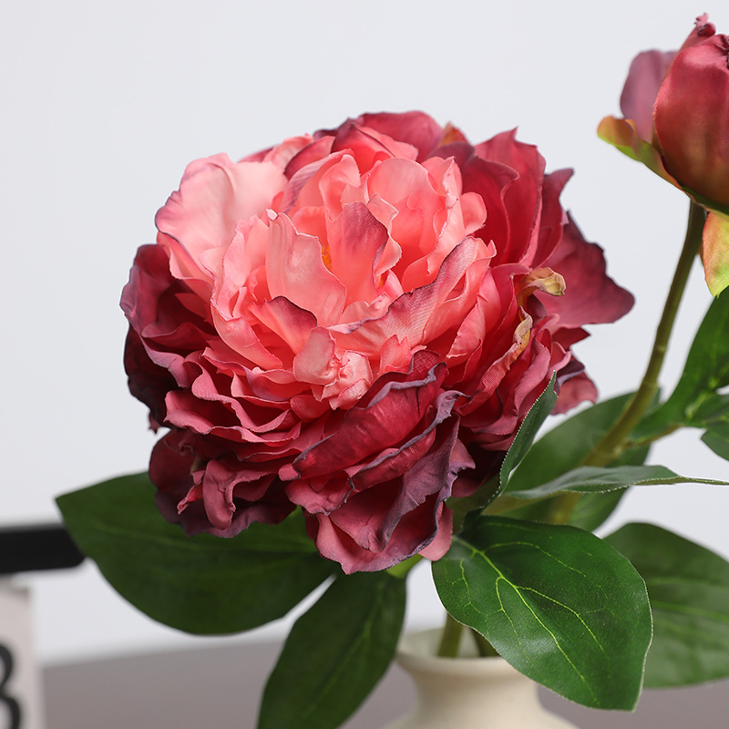 1PC Retro 2 teste peonia simul - Photography Lighting Simulator Free recensione e prezzo